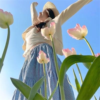 龙之信条 封面